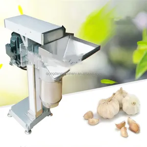 500-800kg/h High Quality ginger garlic tomato paste making crusher garlic paste grinding machine onion grinder machine