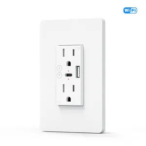 US Standard WiFi Type C And USB Charger Port WiFi Smart Wall Socket Smart Wifi Outlet With Usb And Type C SMART WALL SOCKET