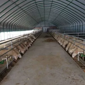 Farming animal husbandry green house pig/sheep/chicken poultry farm breeding greenhouses