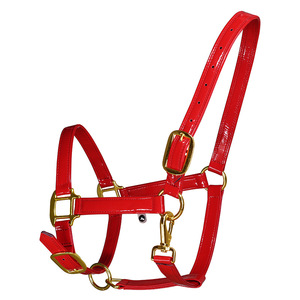 Harnais en cuir verni, couvre-cage pour <span class=keywords><strong>cheval</strong></span> en cuir microfibre, largeur du <span class=keywords><strong>sangle</strong></span> 26 mm, LT4008, Chine - Product Image 2