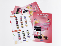 Muestra gratis CMYK Printing Flyer 4x6 Flyers Publicidad Impresión con laminación y triple plegado o más plegado