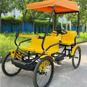 HK-SB-1 Vehículo Compartido para Recorridos Turísticos al Aire Libre 2025 HK-SB-1 HK-SB-1 HK-SB-1 - Product Image 3