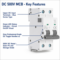 Disjoncteur solaire photovoltaïque Wanbo-515 DC 500V, poignée grise, entièrement en cuivre, 40A 60A 125A 6kA, rail DIN 2P IEC