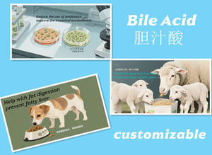 Additif alimentaire à 40 % d'acide <span class=keywords><strong>biliaire</strong></span> (acides aminés de qualité alimentaire) – Graisse fortement émulsifiée pour le traitement des animaux aquatiques atteints de syndrome hépatobiliaire - Product Image 4