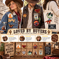 Patch brodé thermocollant ou à coudre Western Cowboy Cheval Cactus Texas Botte Crâne Chapeau de Rodeo en gros
