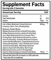 OEM ODM Private Label Mushroom Gummies Vegan Sugar Free Herbal Energy Supplement for Adults Daily Energy Support
