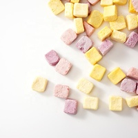 Verschillende Smaken Zoete Gevriesdroogde Yoghurtblokjes Chips Aardbei Bosbessen Mango Chocolade Bedekt Groothandel