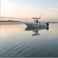 Bateau de pêche à console centrale 7,5 m 300 CV 8 personnes Coque en V à 21 degrés Réservoir de carburant 200 L Bateau marin GRP