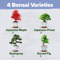 Kit de Bonsaï 4 Variétés Très Demandé avec Kit de Démarrage en Pulpe de Papier Premium – Décoration Écologique pour la Maison, Cadeau Idéal pour les Jardiniers