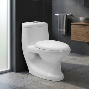 Africa Classic Ceramic One Piece WC P <b>Trap</b> Siphonic Flush Floor Mounted Western Water Closet Toilet - Product Image 5