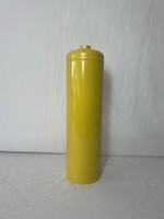 Cylindre d'extincteur 10lb/20lb Couleur personnalisée Carton Acier inoxydable Poudre ABC Marque ANSU Cylindre de lutte contre l'incendie
