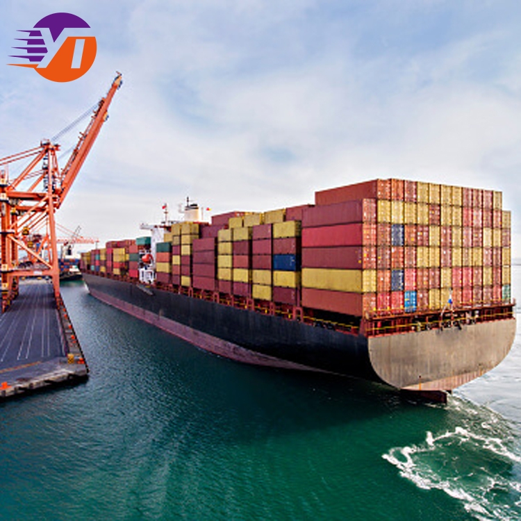 Быстрая доставка от двери до двери Ddp Tnt Fedex Dhl Express Морской экспедитор из Китая в Канаду США