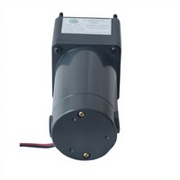 Motor de CC Industrial de Alto Torque con Imán Permanente, 3000 rpm, 12v/24v/90v/180v, con Reducción de Engranajes, para Electrodomésticos, Ventiladores de Barco, 120W, IP44