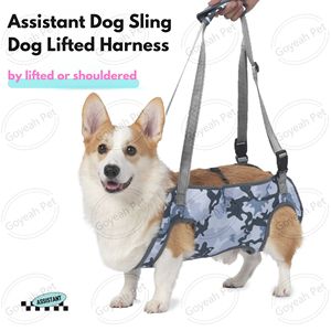 สายรัดยกสุนัขแบบปรับได้สำหรับสะพายไหล่ ช่วยพยุงขาแบบไม่รัดเป้า สำหรับสุนัขสูงวัย - Product Image 2