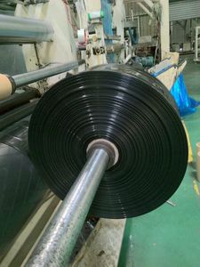 Sacchetto di crescita con fori di scarico per piante di carote di cipolla - Product Image 5