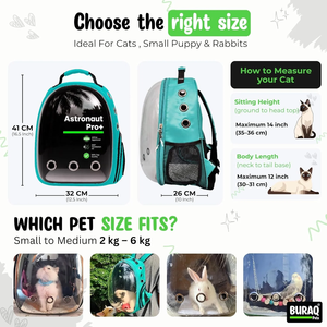 Wholesale ASTRO PRO <b>Cat</b> <b>Backpack</b> Durable Polyester Pet Travel Carrier <b>Backpack</b> with Transparent Viewing Window for <b>Cats</b> - Product Image 3