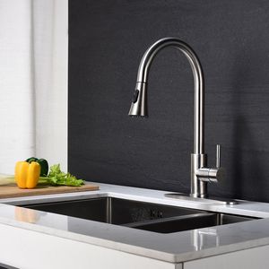 Robinet de cuisine DB avec pulvérisateur extractible pour un contrôle pratique de l'eau - Product Image 1