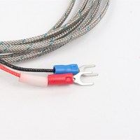 Bande de résistance thermique de type K personnalisable OEM/ODM, fil blindé en PTFE plaqué argent, précision 0,1, IP68
