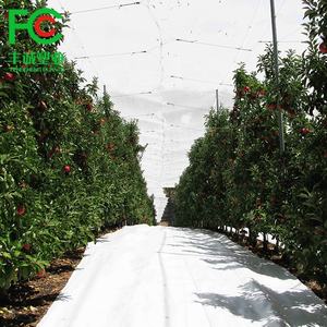 Landbouwplant Beschermer Onkruidmat Gebruikt Bij Drakenfruitboomgaarden Voor Bomen - Product Image 4