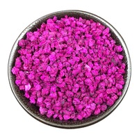 8x8mm Rode Hartvormige Drakenvrucht Thee Kubusjes Vriesgedroogd Knapperig 0% Toegevoegde Suiker Groothandel Per Stuk voor Snacks/Bakkerij/Toppings/Thee