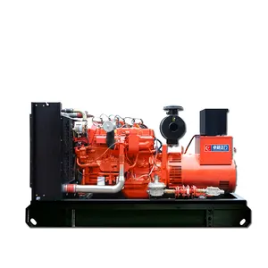 80kw gas generator Water Cooled 100kva gas generator