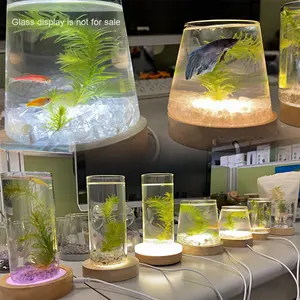 Base lumineuse en bois massif moderne boule de cristal en bois veilleuse 5V LED support de lampe créatif ornements artisanaux <span class=keywords><strong>prix</strong></span> de gros - Product Image 4