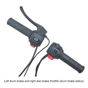 Double flash <span class=keywords><strong>de</strong></span> la poignée <span class=keywords><strong>de</strong></span> régulation <span class=keywords><strong>de</strong></span> <span class=keywords><strong>vitesse</strong></span> intégrée <span class=keywords><strong>de</strong></span> l'ensemble <span class=keywords><strong>de</strong></span> commutateur pour <span class=keywords><strong>moto</strong></span> électrique - Product Image 6