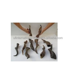 Cuerno de Cabra Natural para Decoración del Hogar y Masticar para Perros, Color Natural, Producto de Cuerno de Cabra de la Mejor Calidad, Pulido a Mano, Gran Venta - Product Image 4