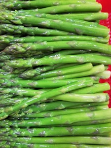 Espigas de Espárragos Verdes <span class=keywords><strong>Congeladas</strong></span> Premium, Certificadas HACCP, Sin Aditivos, para Restaurantes y Cocina - Product Image 3