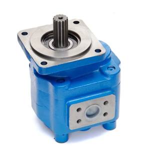 Bomba de engranajes de repuestos hidráulicos P3112 1163041833T 5337993 - Product Image 3