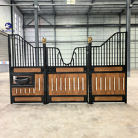Europäischer Pferdestall-Stil: 12x12 Fuß Modulare Stahl-Pferdeboxen für Stall, Bauernhof und Pferdeunterstand