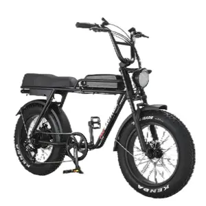 EU USAで利用可能なオリジナルの電動ファットバイク750w大人用20インチファットタイヤ電動バイクファットタイヤEbik7スピード
