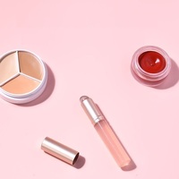 Mini pinceau à lèvres en silicone rose, applicateur de rouge à lèvres, brosse à lèvres pour baume à lèvres avec couvercle pour le maquillage quotidien
