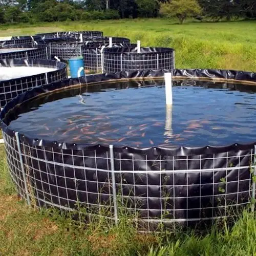 Revêtement de bassin en membrane HDPE, 12mm 0.75mm 1.0mm, imperméable, pour réservoir Biofloc