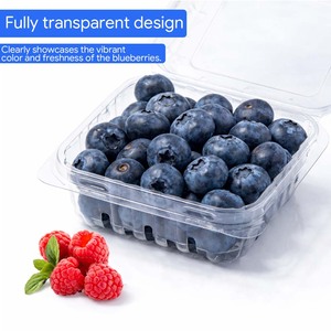Cajas de Plástico PET Transparente Reciclables Tipo Concha para Arándanos, Adecuadas para Arándanos, Tomates y Uvas - Product Image 5
