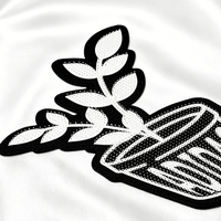 Etiquetas de Transferencia de Calor de Silicona con Textura de Pincel 3D Personalizadas, Etiquetas de Impresión de Alta Densidad, Parches con Logotipo para Camisetas, Gorras y Bolsas