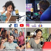 Set microfono a condensatore Gam-800g per PC, canto, giochi, YouTube, TikTok, scheda audio, registrazione live, set microfono a condensatore