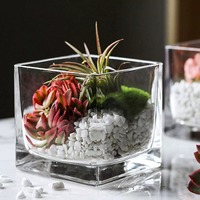 Vase en verre transparent carré épaissi, vase carré, pot pour arrangement floral, pièce décorative simple