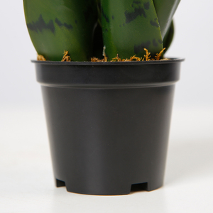 Plantas de serpiente artificiales de plástico verde oscuro, <span class=keywords><strong>Sansevieria</strong></span>, 14CM, plantas decorativas baratas para jardín - Product Image 5