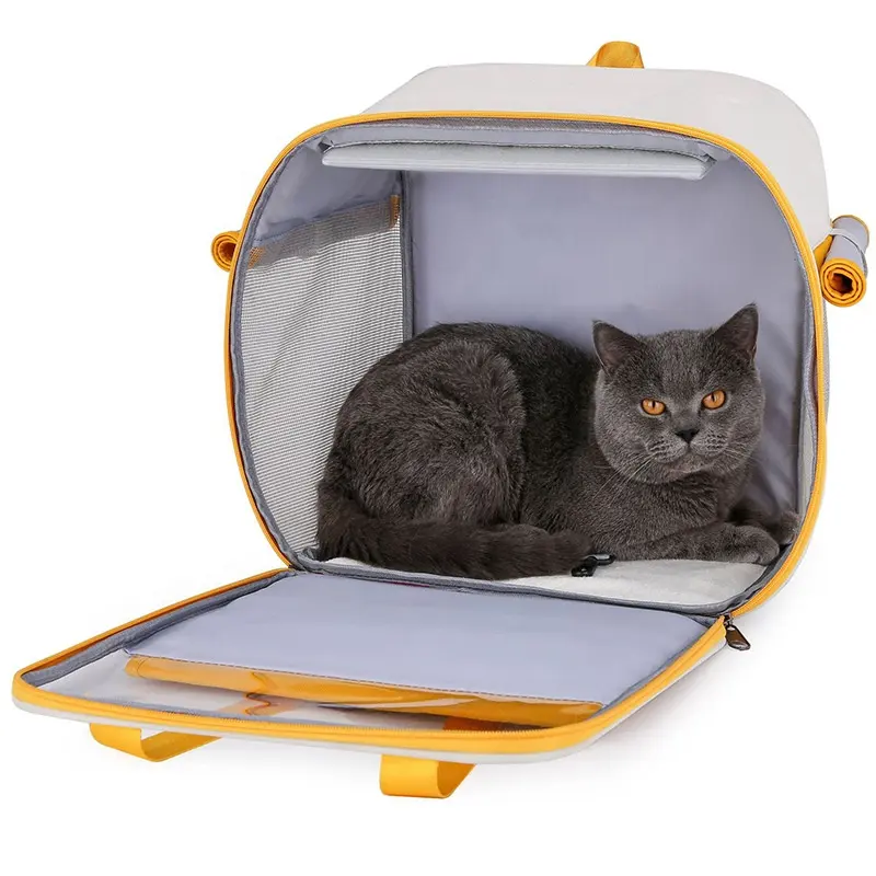 กระเป๋าแมว กระเป๋าถือออกกําลังกาย กระเป๋าสัตว์เลี้ยงความจุขนาดใหญ่ แมวและสุนัข อุปกรณ์สัตว์เลี้ยงสําหรับออกกําลังกาย กระเป๋าถือแมว กระเป๋าเป้สะพายหลัง