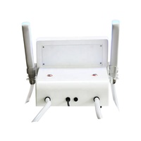 Appareil de soin capillaire portable DTY White Model DH-2068, garantie 1 an, usage professionnel en salon, traitement capillaire à froid par glace, machine à main pour soins capillaires congelés