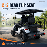 Carrito de Golf Eléctrico de Lujo para 4 Pasajeros, Homologado por DOT, 72V 5KW AC, 4 Plazas, Batería de Litio, 90km de Autonomía, 50km/h, Luces LED, Ideal para Caza y Resorts