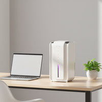 Dehumidifier Kompak Harga Terjangkau Grosir Dehumidifier Rumah Dengan Pemurni Udara Dapur Kamar Tidur Lembab