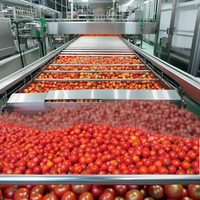 Tomatenbak/Pasta Sinaasappel/Appel/Mango Vruchtensap Productielijn