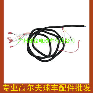 Faisceau de câblage du contrôleur EZGO PDS TXT, accessoires pour voiturette de golf, câbles de commande 74324-G01 - Product Image 4