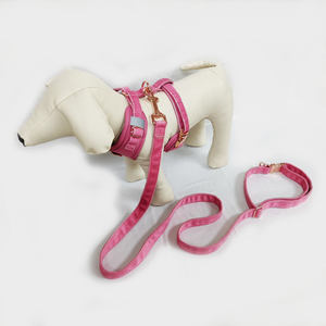 カスタム印刷屋外ウォーキング高級ペットチェストストラップベルベットステップインドッグハーネスとリーシュセット - Product Image 5