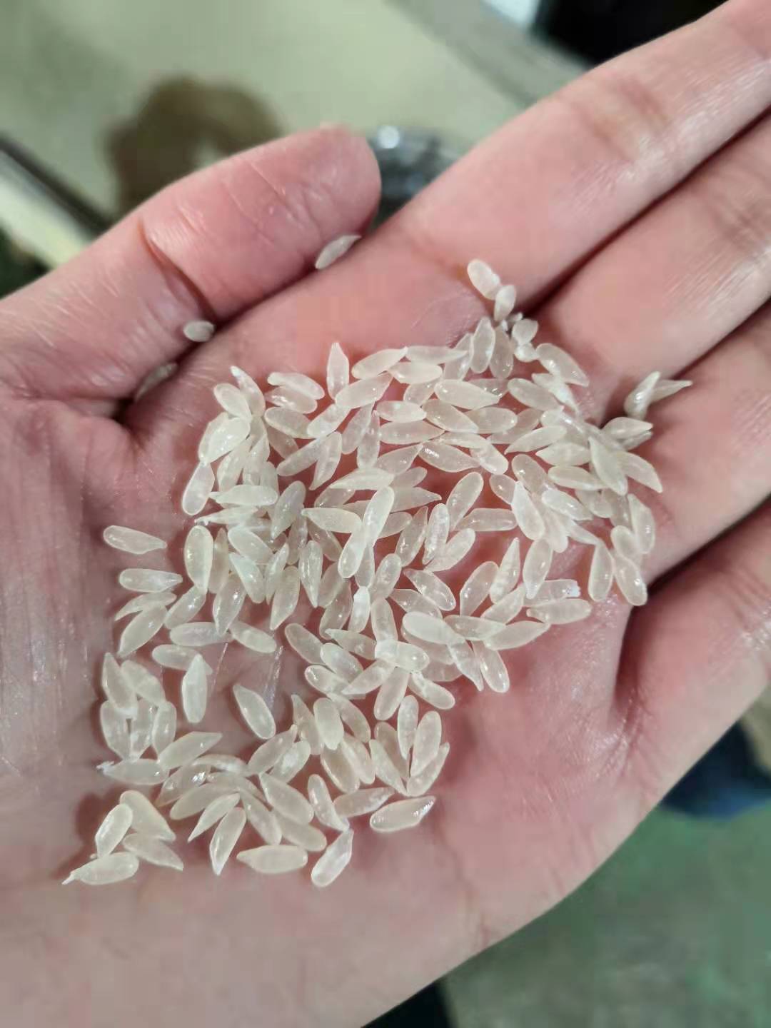 Konjac Flour Artificial Rice Processing Line Double Screw Extruder 250kg/H