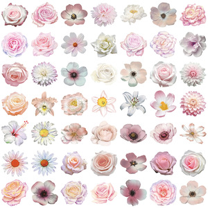50Pcs Transparent Ins Rose Fleurs Autocollants Décoratifs pour Livre Décoration Murale Élégant Autocollant De Fleur De <span class=keywords><strong>Cerisier</strong></span> - Product Image 3