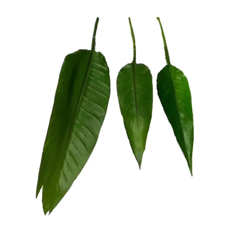 卸売モンステラ人工植物プラスチック熱帯ヤシの木葉バナナ葉ホームガーデン装飾用