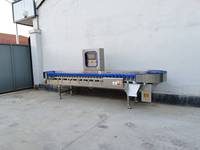 SHENGHE Box Type PLC Core Gewichtssorteer- en -gradeermachine voor de verwerking van vis en vlees 220V/110V/380V
